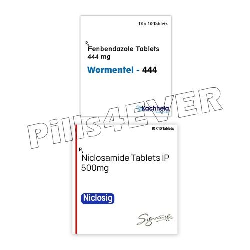 Fenbendazole and Niclosamide Tablets Fenbendazole and Niclosamide Tablets Australia